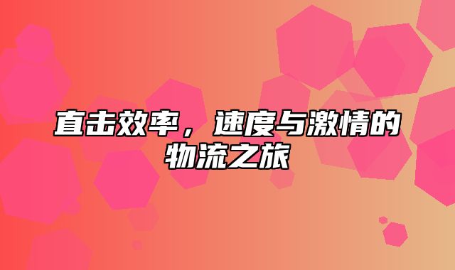 直击效率，速度与激情的物流之旅