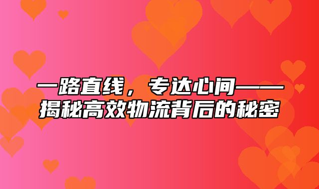 一路直线，专达心间——揭秘高效物流背后的秘密