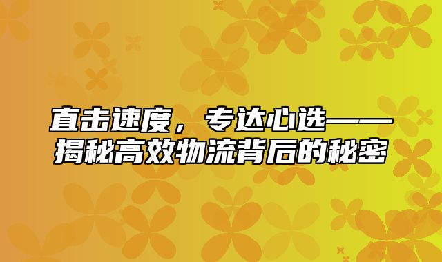 直击速度，专达心选——揭秘高效物流背后的秘密