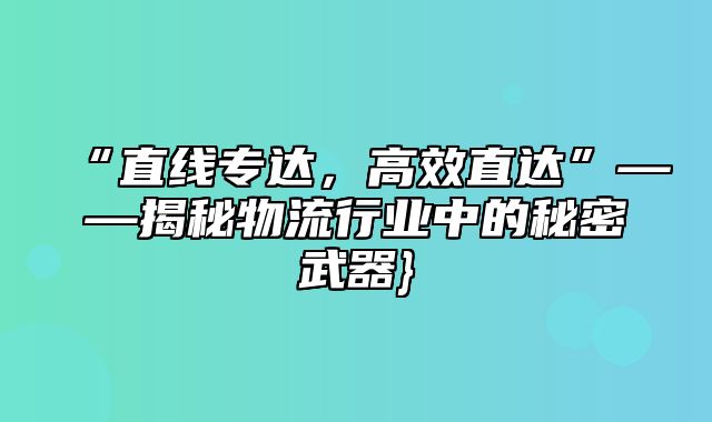 “直线专达，高效直达”——揭秘物流行业中的秘密武器}